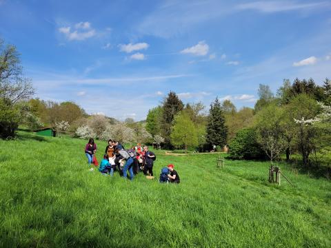 Die Wildkräuter-Gruppe im Heiligen Grund.