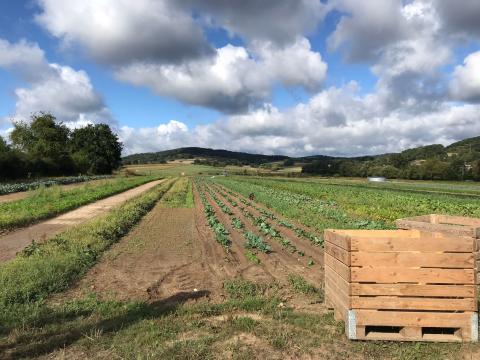 Ein schöner Wolkenhimmel über dem Acker in Kirchvers.