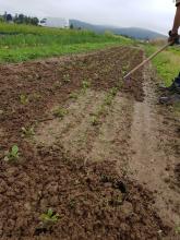 Macht einen Unterschied: Gehackt und nicht gehackt.