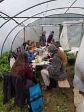 Gemütlicher Mittagstisch im Folientunnel.