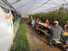 Die Festtafel im Gewächshaus.