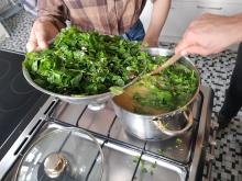 Die Kräuter kommen in die Kartoffelsuppe.