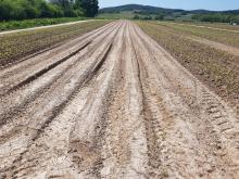 Ein sehr trockener Acker.