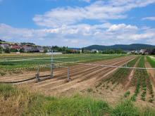 Hier ist die Beregnungsmaschine im Einsatz.