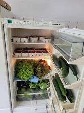 Der Kühlschrank im Bürgerhaus Wehrda voll mit Gemüse und Erdbeeren.
