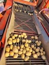 Die neue Maschine zum Kartoffelernten.