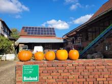 Am Eingang zum Hof stehen schon ein paar Kürbisse.