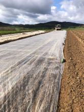 Und so sieht es aus, wenn die Folie drauf ist.