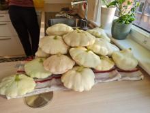 Die Ufokürbisse vor der Verarbeitung.