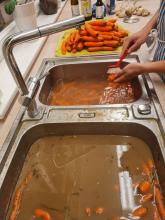 Das Waschen der Möhren war eine langwierige Angelegenheit.