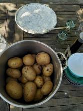 Das Mittagessen: Pellkartoffeln mit Kräuterquark.