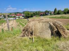 Der Strohballen im Vordergrund, der Erdbeeracker im Hintergrund.